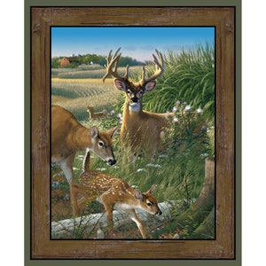 Wildlife Experience  Summer Shadows  Whitetail Deer Doe & Fawn 24x36  Canvas Wrap - Artist Rosemary Millette