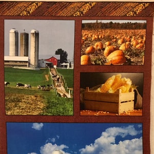 May include: A collage of images depicting a farm scene. The top left image shows a farm with silos, a red barn, and cows grazing in a field. The top right image shows a field of pumpkins. The bottom left image shows a farm with silos, a red barn, and a field of crops. The bottom right image shows a field of corn and a group of chickens.