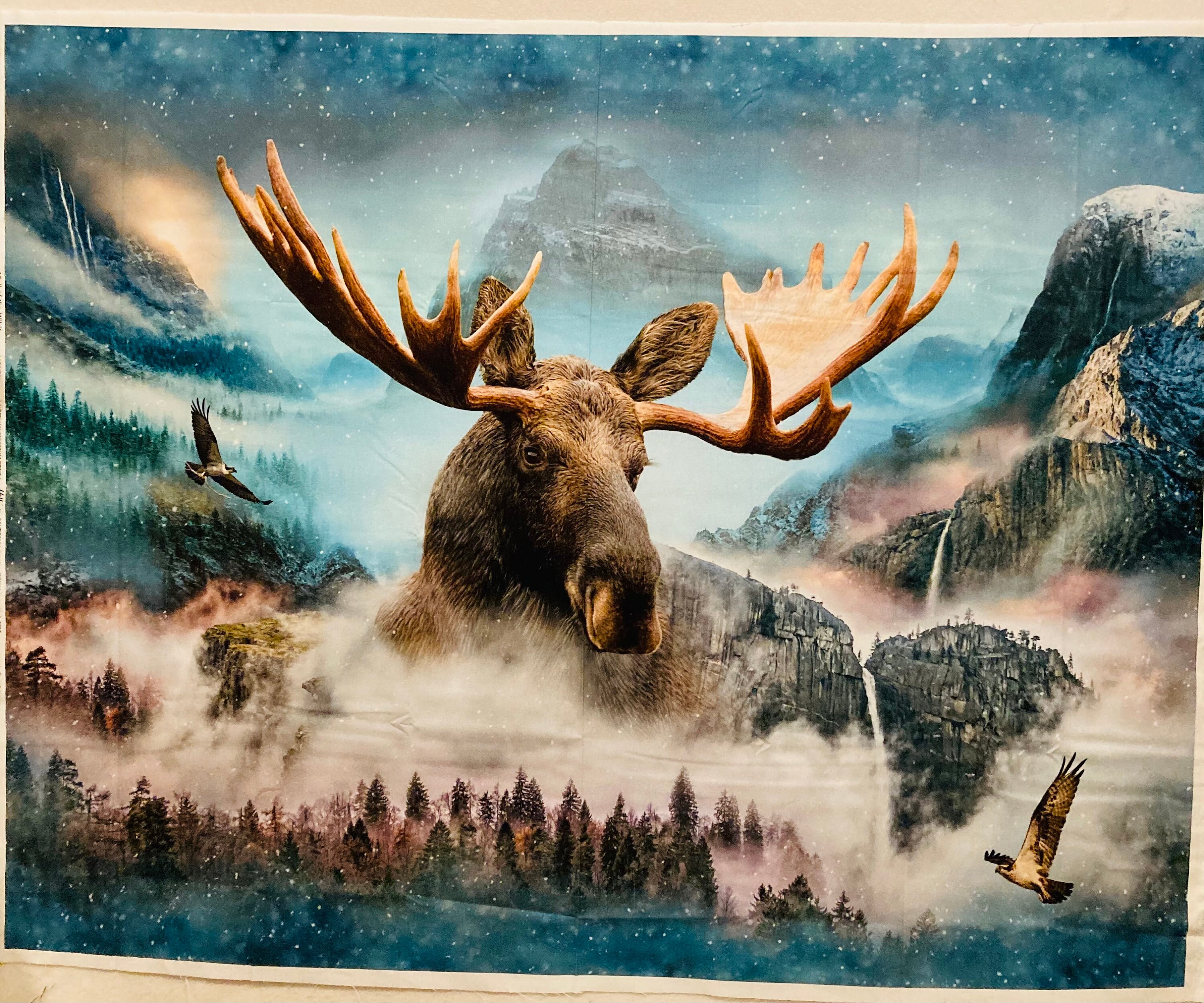 moose calls or moose sounds moose calls or moose sounds