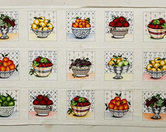Fancy Fruit - Kris Lammers - Maywood Studio - 1 Panel 23" x 45" - 15 Squares approx. 6" x 6" - Out of Print