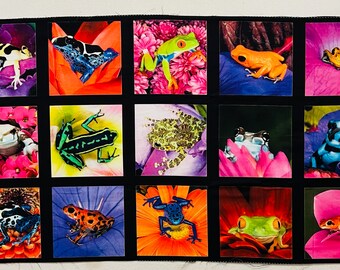 LAST PANEL!  Frogs - Jim Zuckerman - Persistance of Vision - QT Fabrics  - Out of Print