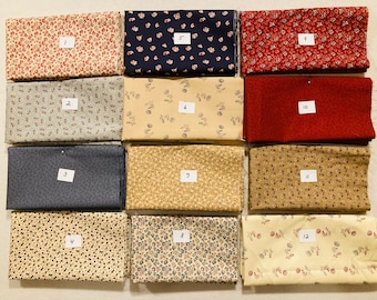 Seeds of Glory by Riley Blake Designs - Your choice of 21 Prints in 1/2 Yard Pieces - 21 Fat Quarter Bundle - Stacy West - 2021