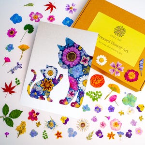 Könnte beinhalten: Ein skurriles Kunstwerk mit zwei Katzensilhouetten, gefüllt mit gepressten Blumen in verschiedenen Farben. Das Kunstwerk ist von losen gepressten Blumen und Blättern umgeben. Eine gelbe Box mit Text ist ebenfalls vorhanden.