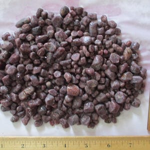May include: A pile of small, polished, reddish-brown stones. A wooden ruler with inch markings is placed next to the stones for scale. The stones have a smooth, rounded appearance and vary in size.