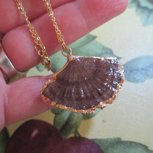 Beautiful Mushroom Coral Shell Pendant Necklace with Real Gold, Handmade, 18 Inch 14K Gold-Plated Chain, Rare, Natural, USA