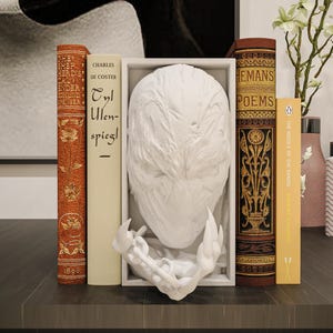 Hell Spawn Antihero Dark Horror Printed Book Nook/Wall Bust – Fantasy Scifi Game Shelf Insert, DIY Paintable