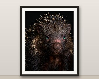 ヤマアラシのウォールアート、写実的なヤマアラシのプリント、動物の肖像画、印刷可能なデジタルダウンロード、ホームデコレーション
