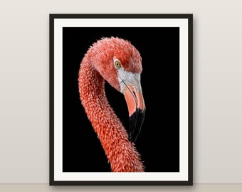 Flamingo Wandkunst, rosa Vogel Druck, Farbe Tier Porträt, Tropisches Dekor, 8K druckbare digitaler Download