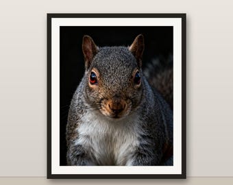 ハイイロリスのウォールアート、写実的なハイイロリスのプリント、動物の肖像画、印刷可能なデジタルダウンロード、ホームデコレーション