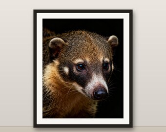 ハナグマのウォールアート、写実的なハナグマのプリント、動物の肖像画、印刷可能なデジタルダウンロード、ホームデコレーション