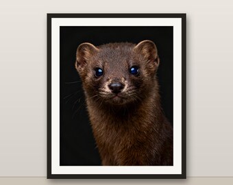 ミンクのウォールアート、フォトリアルなミンクのプリント、動物の肖像画、印刷可能なデジタルダウンロード、ホームデコレーション