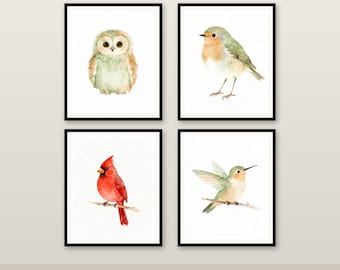 Vogel Kinderzimmer Set von 4, Aquarell druckbare Wandkunst, Eule Rotkehlchen Kardinal Kolibri, Baby Kinder Zimmer Dekor, Instant Download