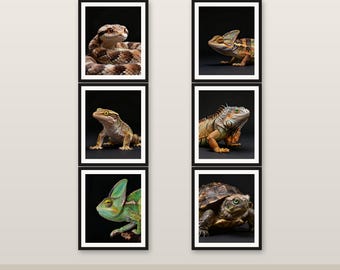 MEGA 10er Pack Reptile Wall Art Bundle 4K 6K 8K Digitaler Download Druckbares Dekor Speichern Sie 571 HKD # 1
