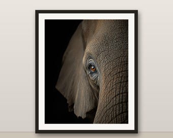 Elefant Wandkunst, Farbe Tierporträt, Safari-Kinderzimmer-Dekor, 8K druckbare digitale Download, Wildtier-Druck