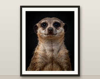 ミーアキャットのウォールアート、フォトリアルなミーアキャットのプリント、動物の肖像画、印刷可能なデジタルダウンロード、ホームデコレーション