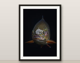 Trout Wall Art, Photorealistic Trout Print, Animal Portrait, Printable Digital Download, Home Decor