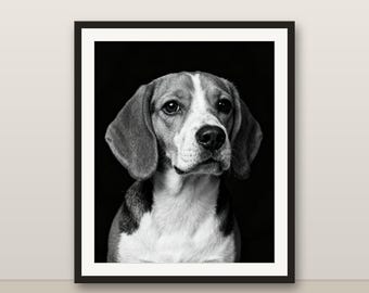 Black and White Beagle Puppy Wall Art, Beagle Puppy Print, Photorealistic Animal Portrait, Printable Digital Download
