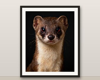 イタチのウォールアート、写実的なイタチのプリント、動物の肖像画、印刷可能なデジタルダウンロード、ホームデコレーション