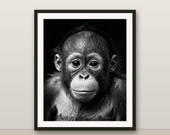 Black and White Baby Orangutan Wall Art, Baby Orangutan Print, Photorealistic Animal Portrait, Printable Digital Download