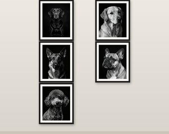 Hunderassen Wandkunst 5er Set, Schwarzweiße Hundeportraits, Labrador Goldener Deutscher Schäferhund Frenchie Pudel, Wohnzimmerdekor, Instant Dow