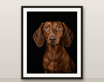 Dackel Wandkunst, Farbe Hundeportrait, Wursthund Druck, 8K druckbare digitale Download, Hundeliebhaber Geschenk