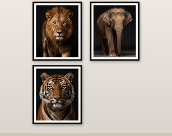 3er-Pack Kleines Haustier Art Bundle 4K 6K 8K Digitaler Download Druckbares Dekor Sparen Sie 102 HKD