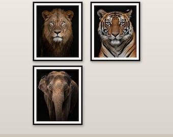 3er-Pack Wildtier-Tier-Kunst-Bundle 4K 6K 8K Digitaler Download druckbare Dekor V1