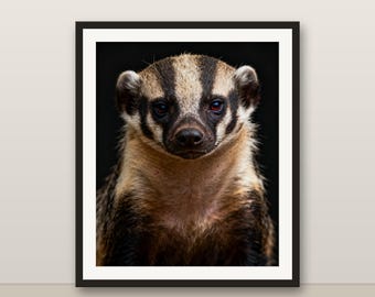 アナグマのウォールアート、写実的なアナグマのプリント、動物の肖像画、印刷可能なデジタルダウンロード、ホームデコレーション