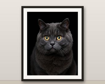 Scottish Fold Katzenwandkunst, graue Katzenportrait, Farbe Animal Print, 8K druckbare digitale Download, Katzenliebhaber Geschenk