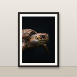 May include: A framed wall art print featuring a sea turtle with a brown and tan patterned shell and skin, captured in profile against a solid black background. The artwork is enclosed in a simple black frame with a white mat border.
