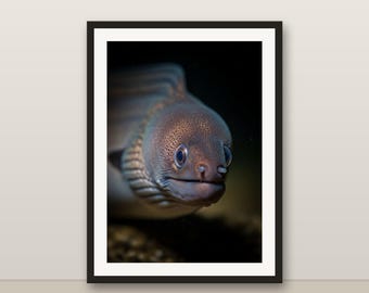 Garden Eel Wall Art, Photorealistic Garden Eel Print, Animal Portrait, Printable Digital Download, Home Decor
