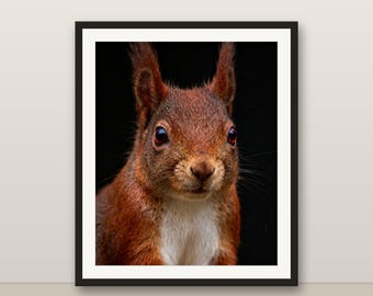 アカリスのウォールアート、写実的なアカリスのプリント、動物の肖像画、印刷可能なデジタルダウンロード、ホームデコレーション