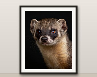 ポールキャットのウォールアート、写実的なポールキャットのプリント、動物の肖像画、印刷可能なデジタルダウンロード、ホームデコレーション