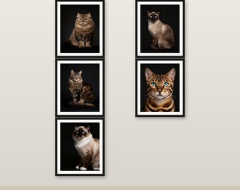 5er-Pack Katzenwand-Kunst-Bundle 4K 6K 8K Digitaler Download druckbares Dekor