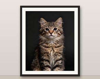 Quadro con gattino tigrato, stampa di gatto carino, decorazione con animali per la cameretta, download digitale stampabile.