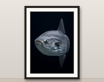 Ocean Sunfish Wall Art, Photorealistic Ocean Sunfish Print, Animal Portrait, Printable Digital Download, Home Decor