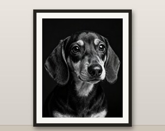 Black and White Dachshund Puppy Wall Art, Dachshund Puppy Print, Photorealistic Animal Portrait, Printable Digital Download