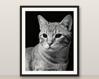 Black and White Orange Tabby Cat Wall Art, Orange Tabby Cat Print, Photorealistic Animal Portrait, Printable Digital Download