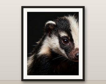 スカンクのウォールアート、写実的なスカンクのプリント、動物の肖像画、印刷可能なデジタルダウンロード、ホームデコレーション