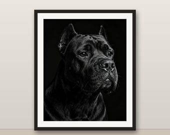 Cane Corso Hunde Wandkunst, Schwarzweißer Hundedruck, Modernes Hundebild, 4K druckbares Hundebild, Haustierporträt, minimalistisches Dekor, G
