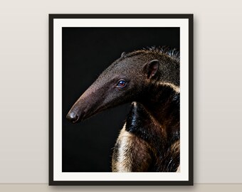 オオアリクイのウォールアート、写実的なオオアリクイのプリント、動物の肖像画、印刷可能なデジタルダウンロード、ホームデコレーション