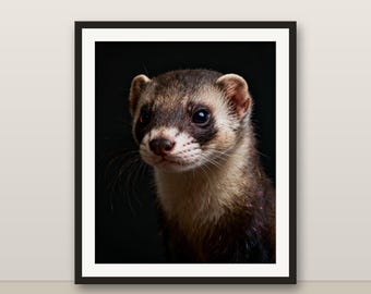 フェレットのウォールアート、写実的なフェレットのプリント、動物の肖像画、印刷可能なデジタルダウンロード、ホームデコレーション