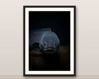 Electric Eel Wall Art, Photorealistic Electric Eel Print, Animal Portrait, Printable Digital Download, Home Decor