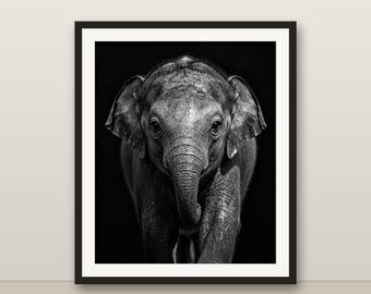 Black and White Baby Elephant Wall Art, Baby Elephant Print, Photorealistic Animal Portrait, Printable Digital Download