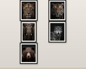 Pacchetto di 5 illustrazioni di animali selvatici in formato digitale 4K, 6K e 8K, stampabili e perfette per decorazioni (versione 1)