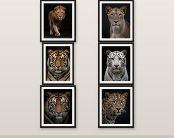 Wildlife Big Cats Wall Art 18 Prints Lion Tiger Leopard Cheetah 4K 8K Safari Decor Printable Digital Download