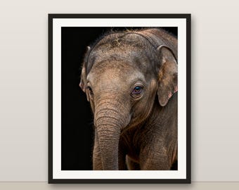 Quadro con elefantino, stampa a tema safari per la cameretta, decorazione con animali, download digitale stampabile.