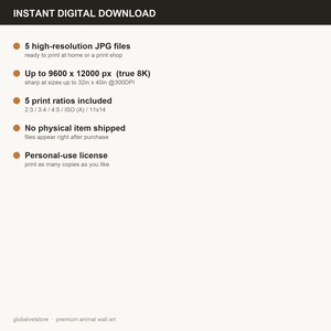 What's included: 5 high-resolution JPG files, instant download