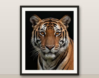 Bengal Tiger Wandkunst, Farbe Tierporträt, 4K 8K druckbare digitale Download, Katzendekordruck