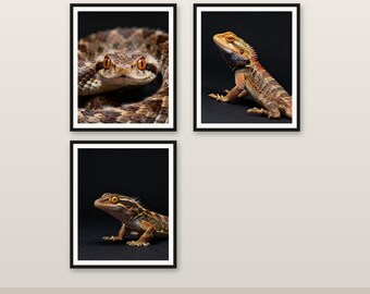 3er-Pack Reptilien Wand Kunst Bundle 4K 6K 8K Digitaler Download Druckbares Dekor Speichern Sie 102 HKD #1